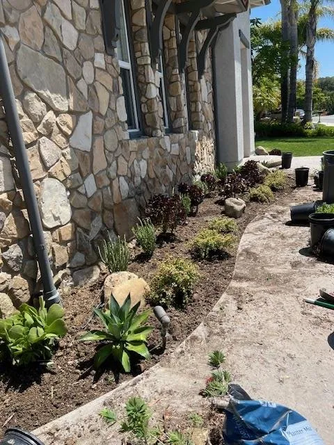 Top-rated yard maintenance for year-round maintenance in San Fernando Valley, CA by Marroquin Landscape Services