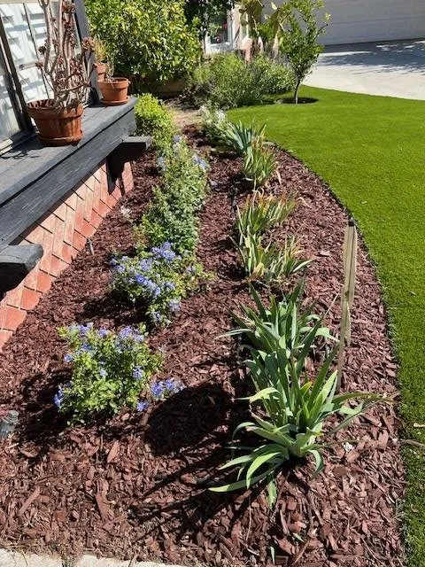 Local garden landscaping in San Fernando Valley, CA - Marroquin Landscape Services