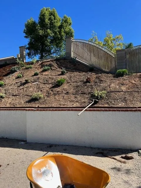 Expert garden landscaping with custom design across San Fernando Valley, CA - Marroquin Landscape Services