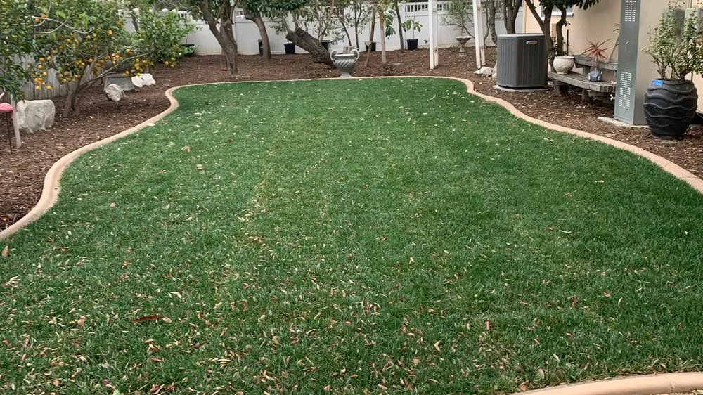 Expert yard cleanup service for year-round maintenance across Riverside, CA - Marroquin Landscaping and Lawn Maintenance