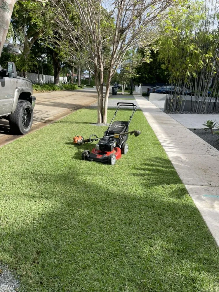 Reliable outdoor landscaping for year-round maintenance across Miami, FL - Marroquin Landscaping