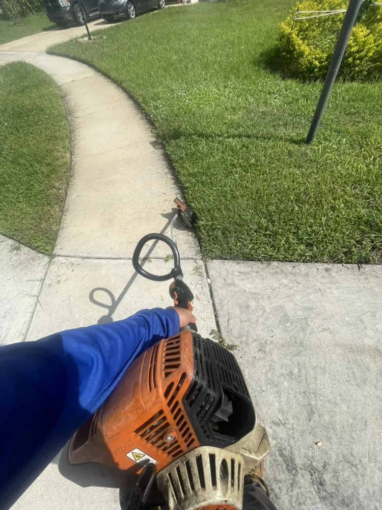 Custom outdoor landscaping in Miami, FL by Marroquin Landscaping