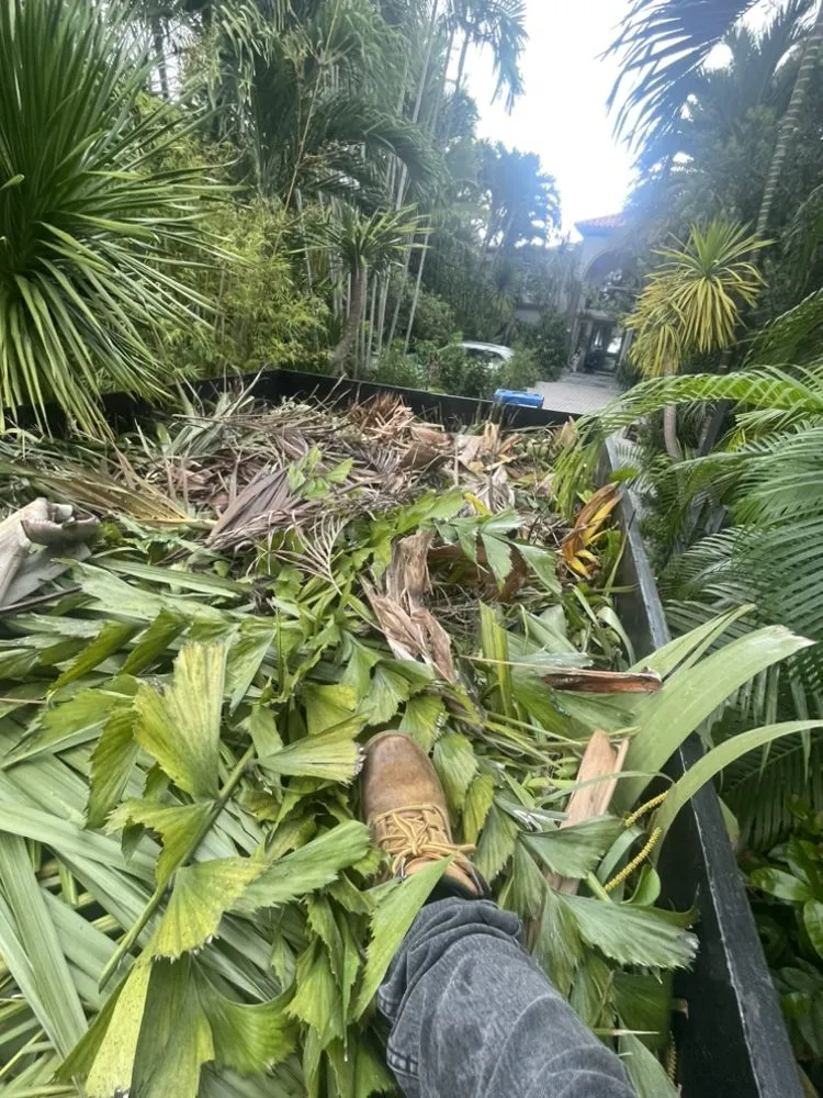 Trusted residential landscaping experts serving Miami, FL - Marroquin Landscaping