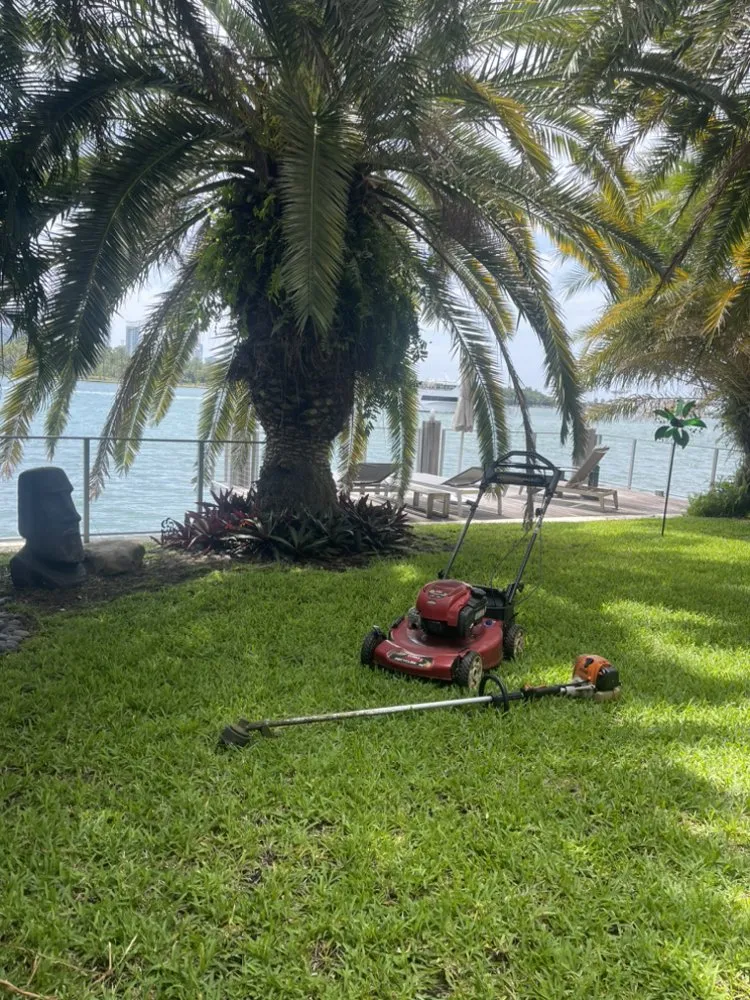 Custom landscaping services in Miami, FL by Marroquin Landscaping