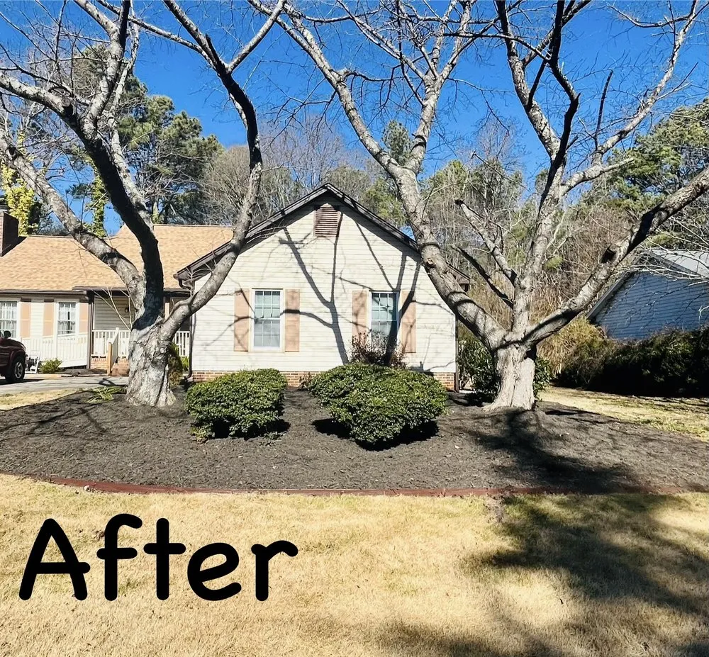 Top-rated yard cleanup service experts serving Pelzer, SC - Marroquin Landscaping