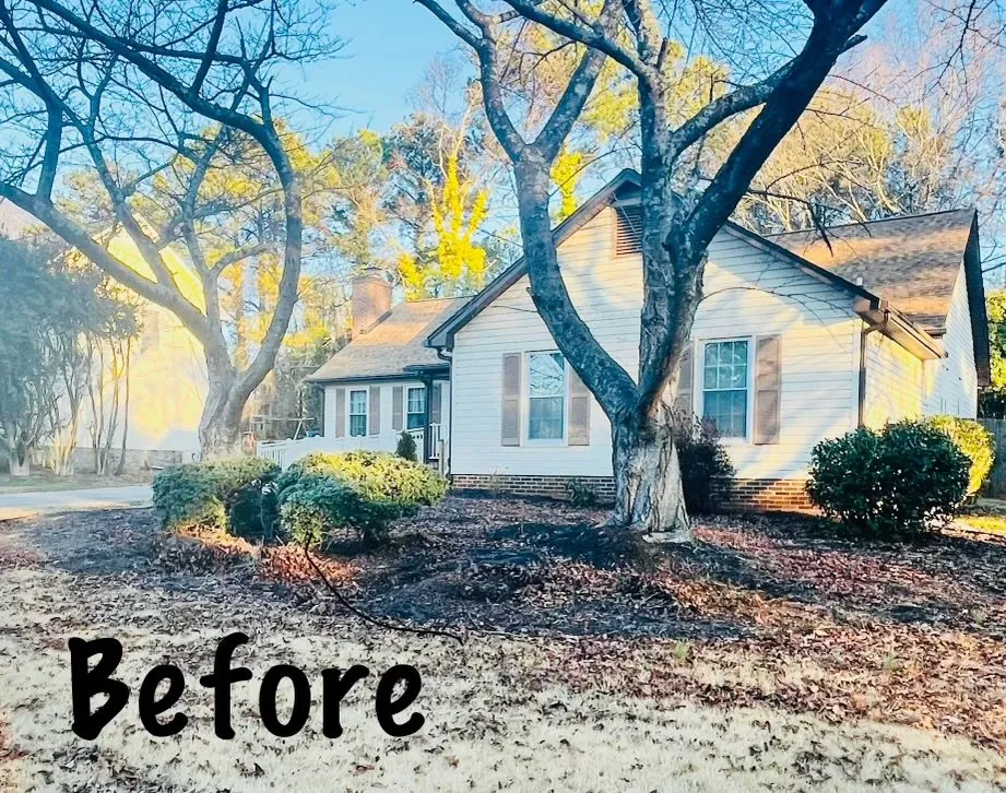 Top-rated landscape design for beautiful yards across Pelzer, SC - Marroquin Landscaping