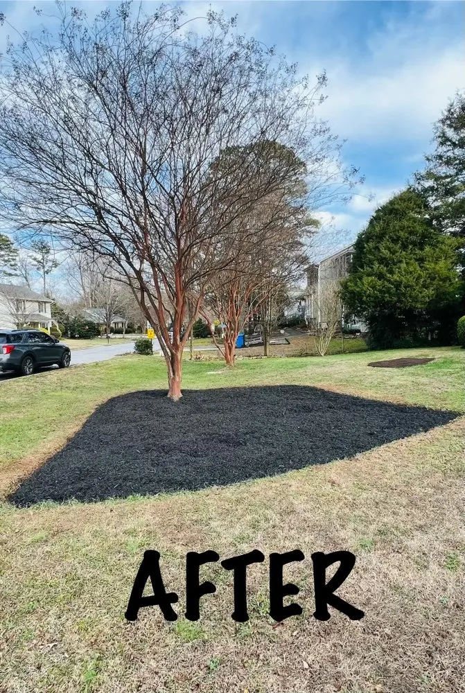 Top-rated yard cleanup service in Pelzer, SC - Marroquin Landscaping