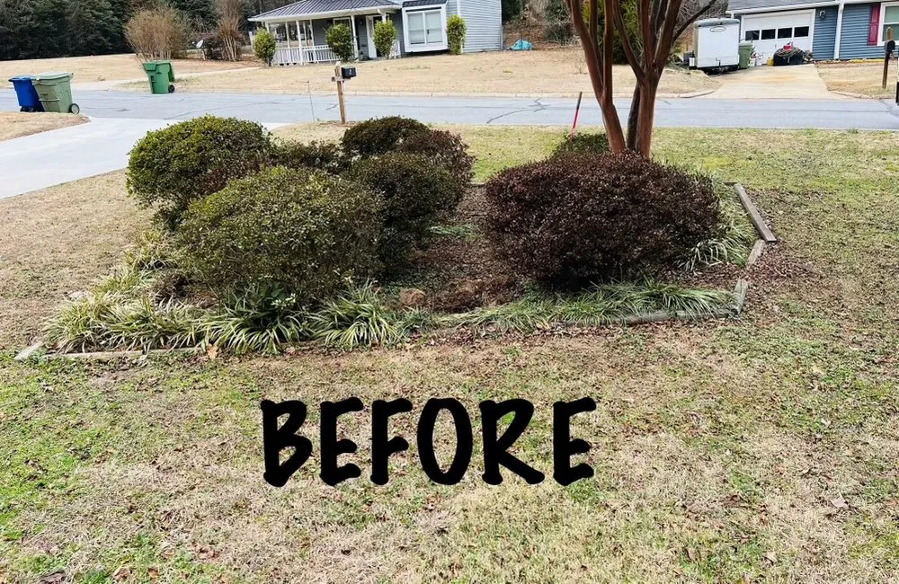 Trusted yard cleanup service for beautiful yards in Pelzer, SC by Marroquin Landscaping