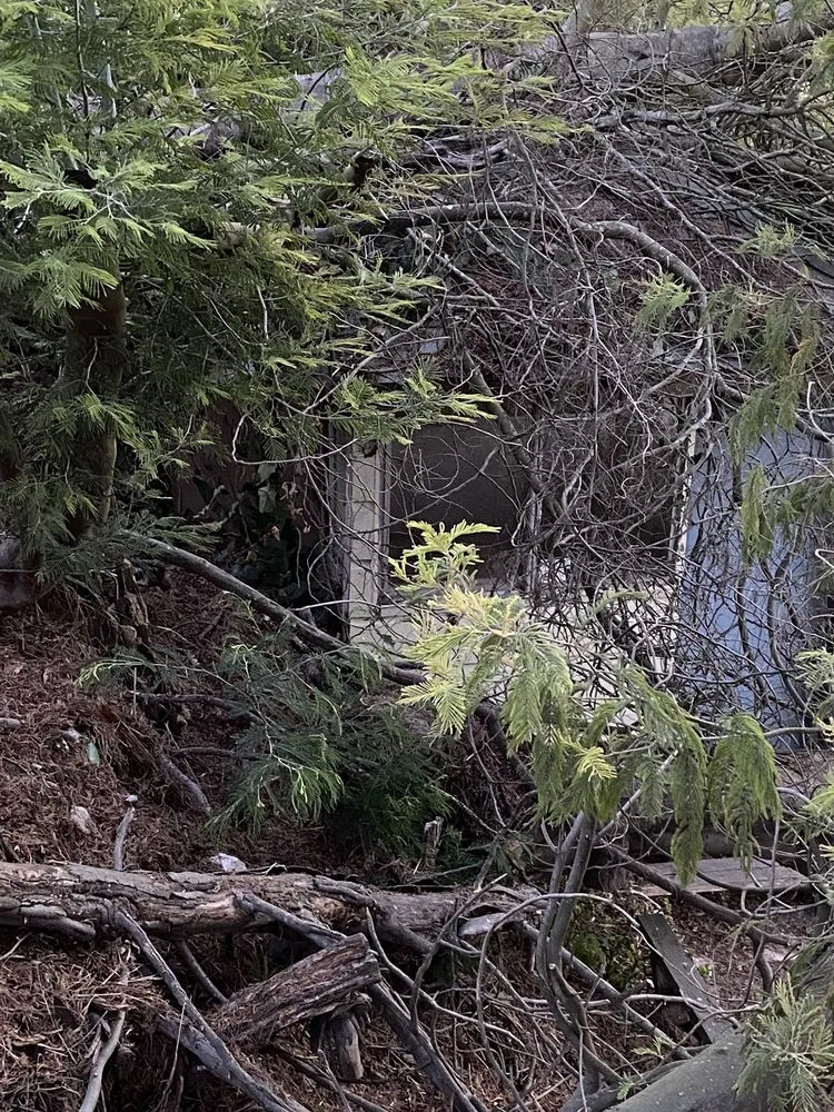 Affordable outdoor landscaping in Fort Bragg, CA by Marroquin Morales Pavers