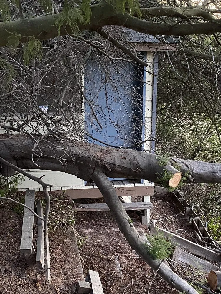 Professional yard maintenance for year-round maintenance across Fort Bragg, CA - Marroquin Morales Pavers