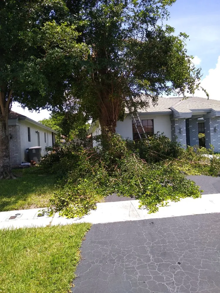 Custom landscaping services experts serving Lake Worth, FL - marroquin