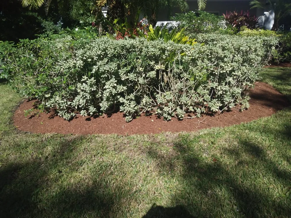 Affordable landscape installation for residential properties in Lake Worth, FL by marroquin