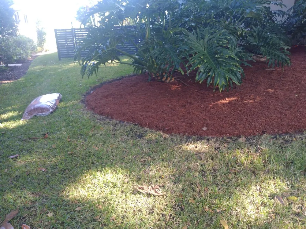 Trusted yard cleanup service with custom design in Lake Worth, FL by marroquin
