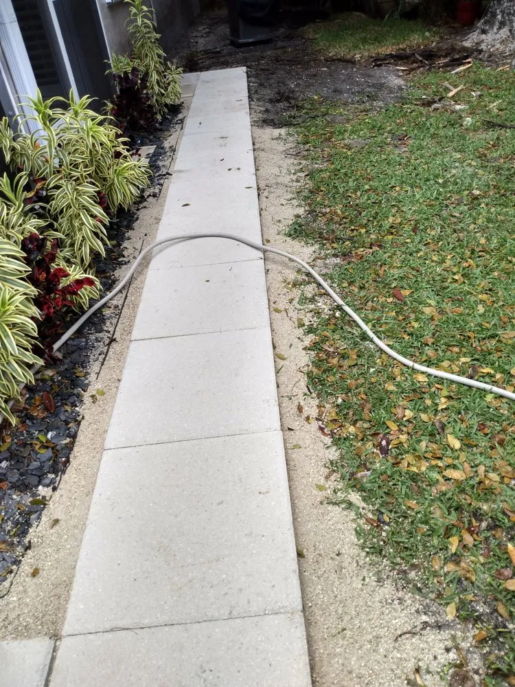 Local yard cleanup service near you across Lake Worth, FL - marroquin