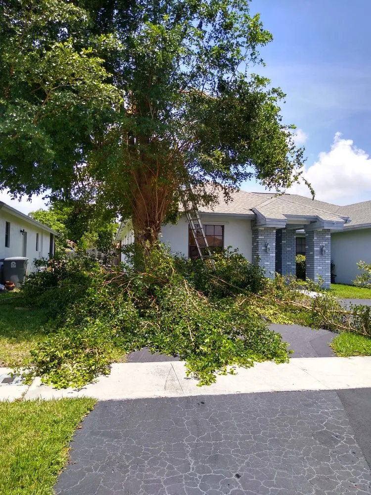 Local residential landscaping for year-round maintenance across Lake Worth, FL - marroquin