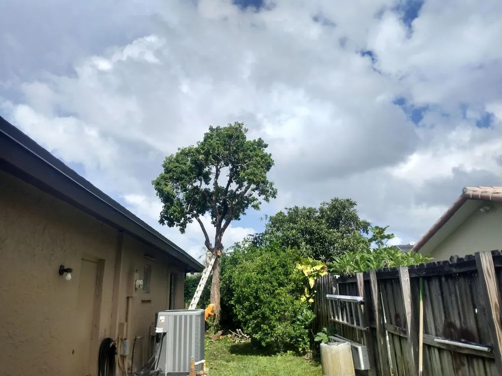 Affordable yard cleanup service experts serving Lake Worth, FL - marroquin