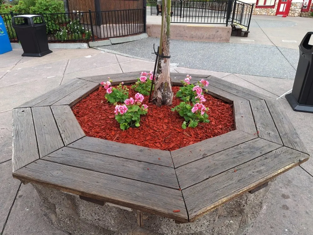 Custom outdoor landscaping in Concord, CA - Marroquin's General Construction and Landscape