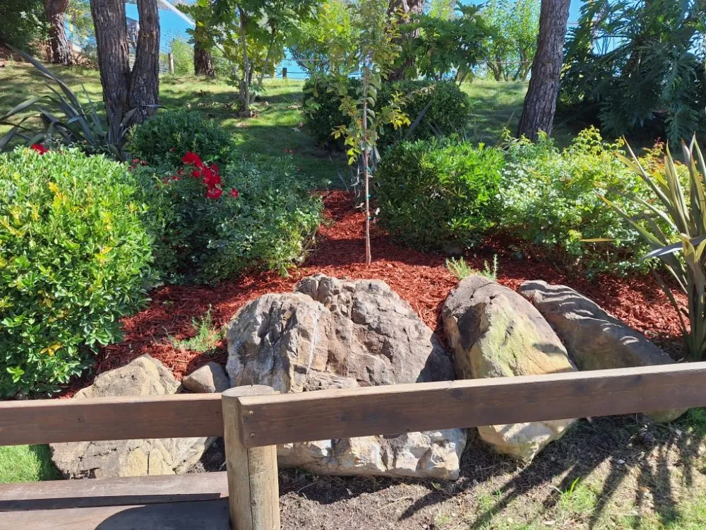 Local yard cleanup service with custom design in Concord, CA by Marroquin's General Construction and Landscape