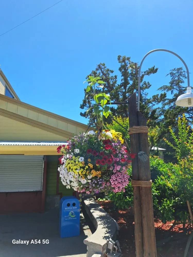 Local landscaping services for homes in Concord, CA by Marroquin's General Construction and Landscape