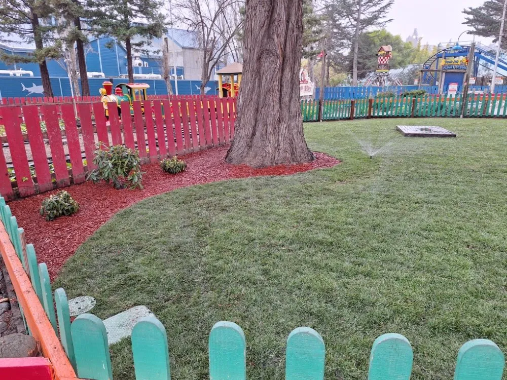 Professional landscaping services in Concord, CA - Marroquin's General Construction and Landscape