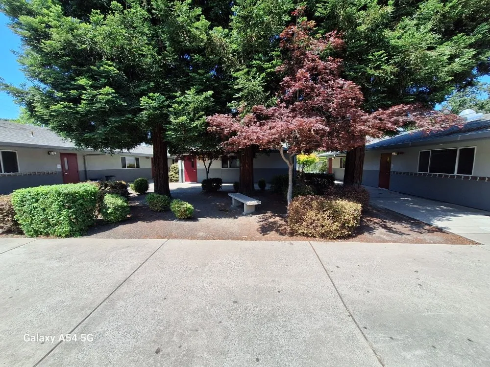 Top-rated landscape design experts serving Concord, CA - Marroquin's General Construction and Landscape