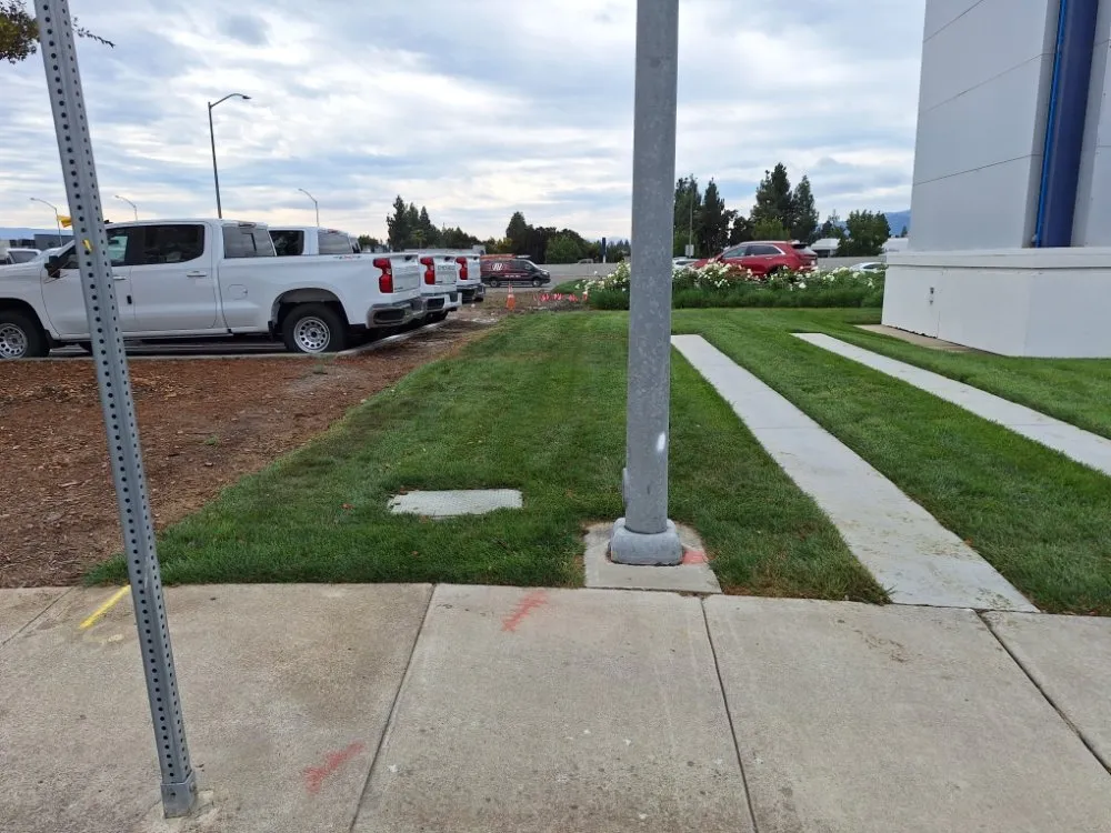 Professional yard maintenance in Concord, CA by Marroquin's General Construction and Landscape