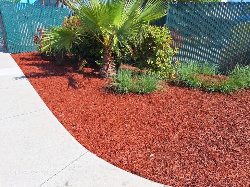 Trusted lawn mowing service experts serving Concord, CA - Marroquin's General Construction and Landscape