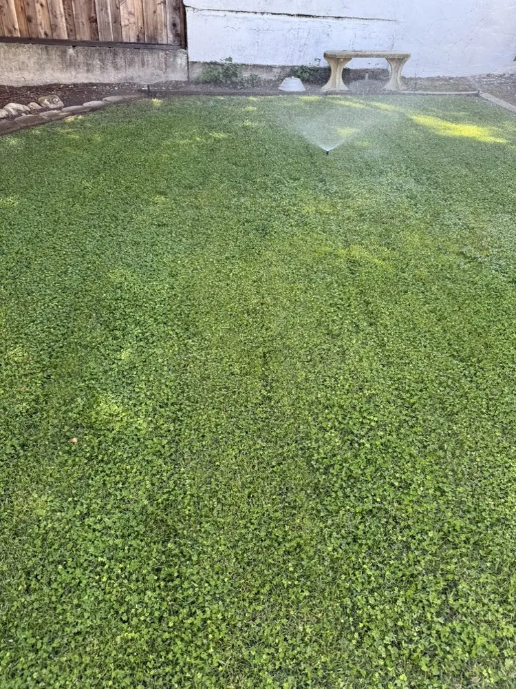 Top-rated landscape installation in Morgan Hill, CA - Marros Landscaping