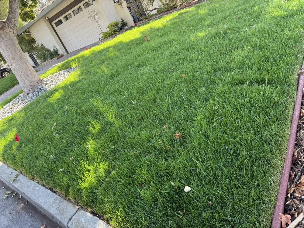 Local garden landscaping for residential properties in Morgan Hill, CA by Marros Landscaping