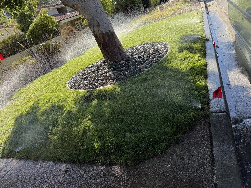 Custom yard cleanup service experts serving Morgan Hill, CA - Marros Landscaping