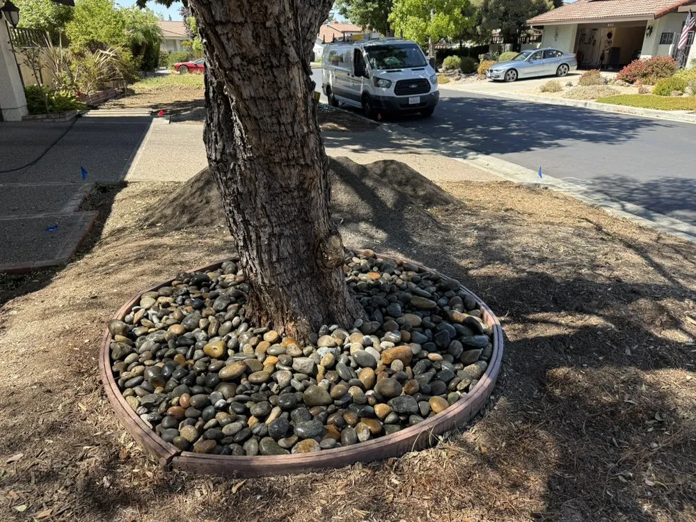 Expert lawn care service experts serving Morgan Hill, CA - Marros Landscaping