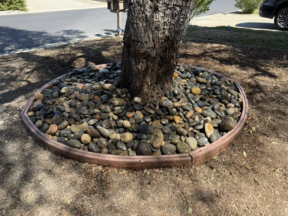 Top-rated landscape design in Morgan Hill, CA - Marros Landscaping