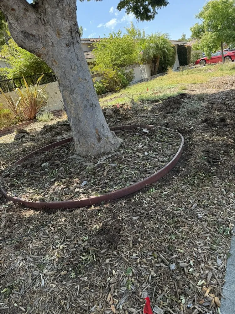 Professional lawn mowing service near you in Morgan Hill, CA by Marros Landscaping