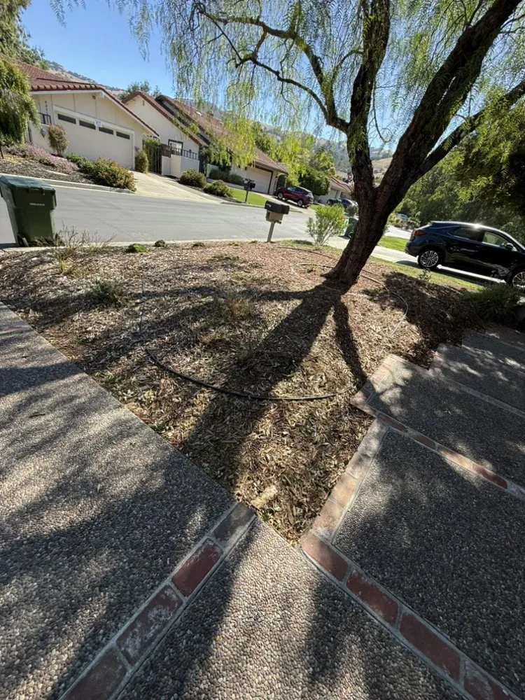 Local lawn care service experts serving Morgan Hill, CA - Marros Landscaping