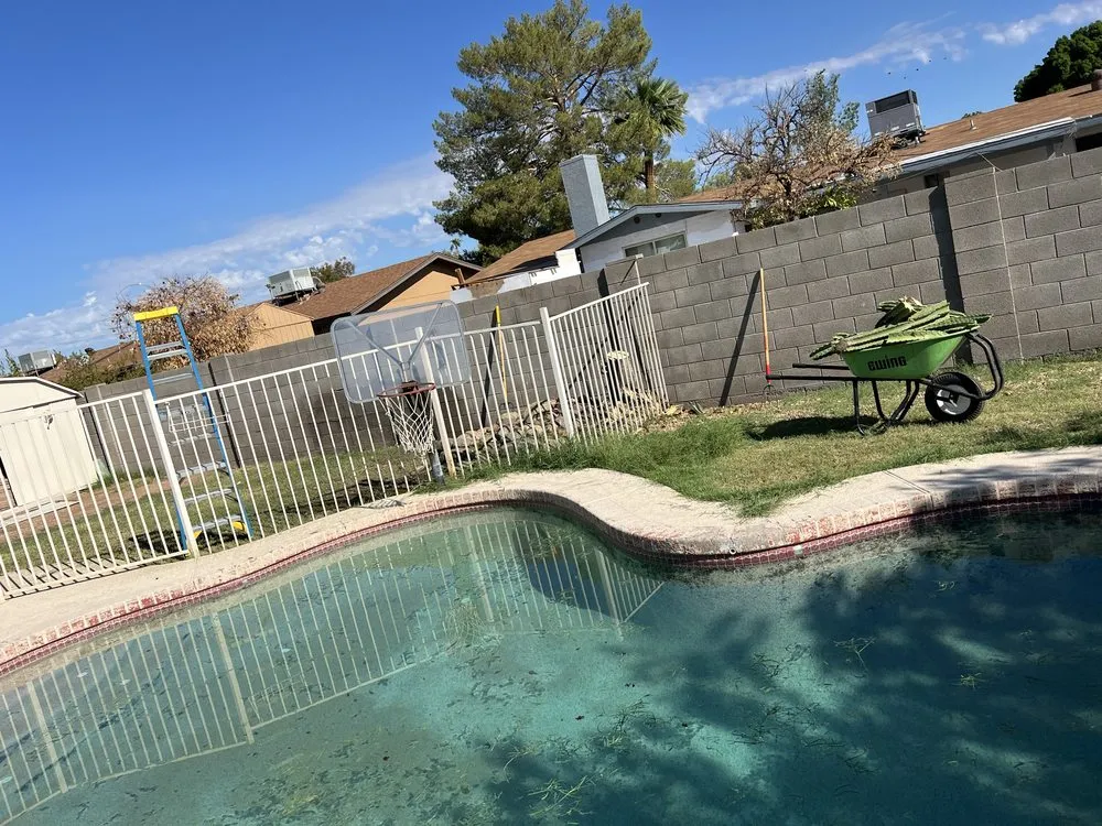 Local outdoor landscaping for year-round maintenance in Chandler, AZ by Mars Landscaping