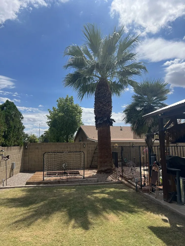 Reliable residential landscaping for residential properties across Chandler, AZ - Mars Landscaping