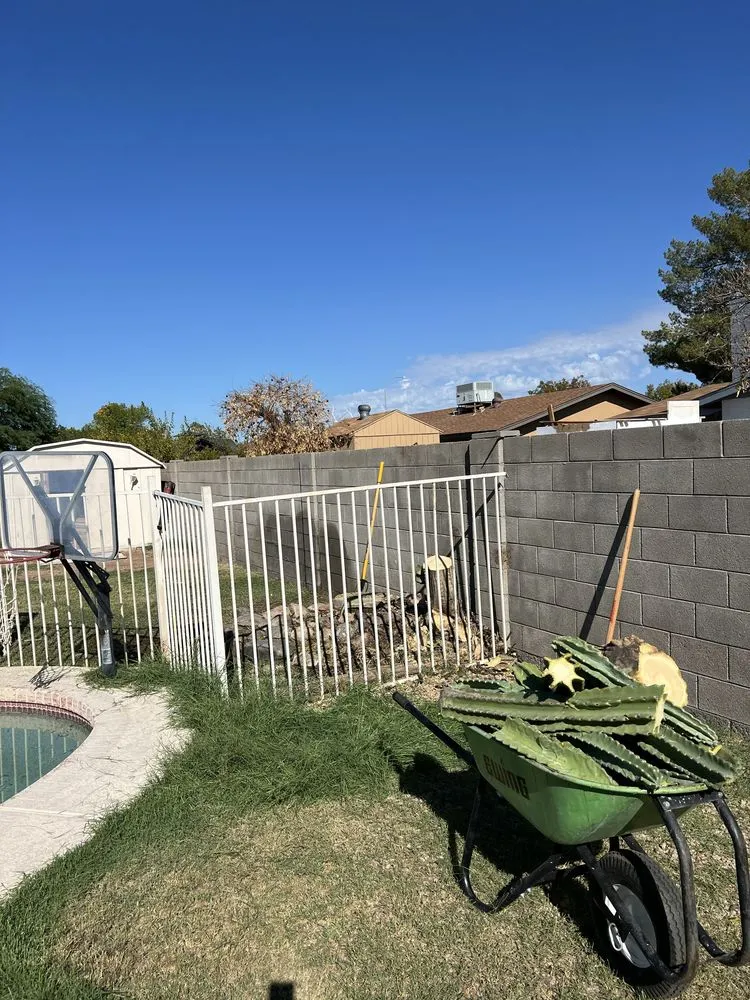 Expert yard cleanup service for beautiful yards across Chandler, AZ - Mars Landscaping