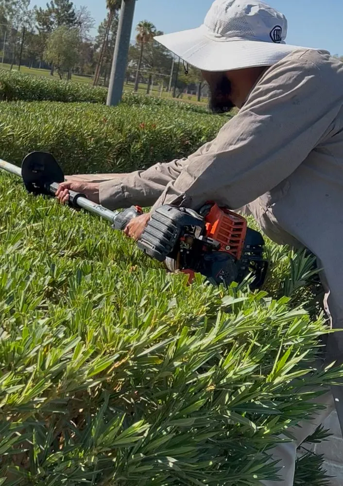 Top-rated lawn care service near you in Chandler, AZ by Mars Landscaping