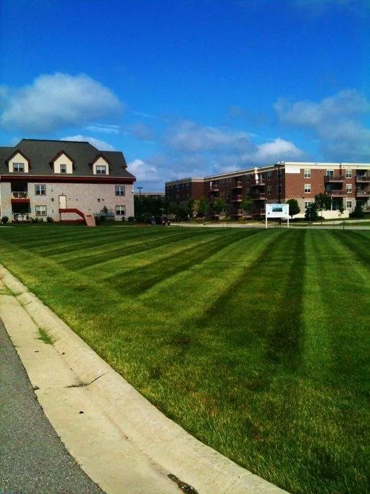 Local yard maintenance for year-round maintenance in Sun Prairie, WI by Mars Renovations