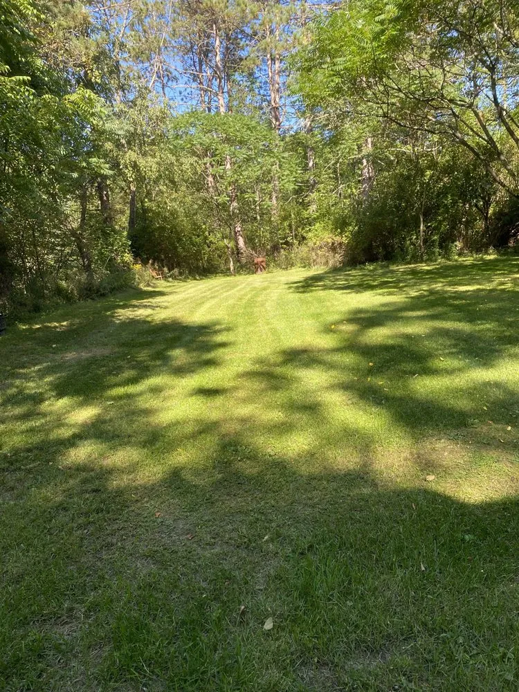 Reliable yard cleanup service for homes across Angelica, NY - Marsdens Mowing And More