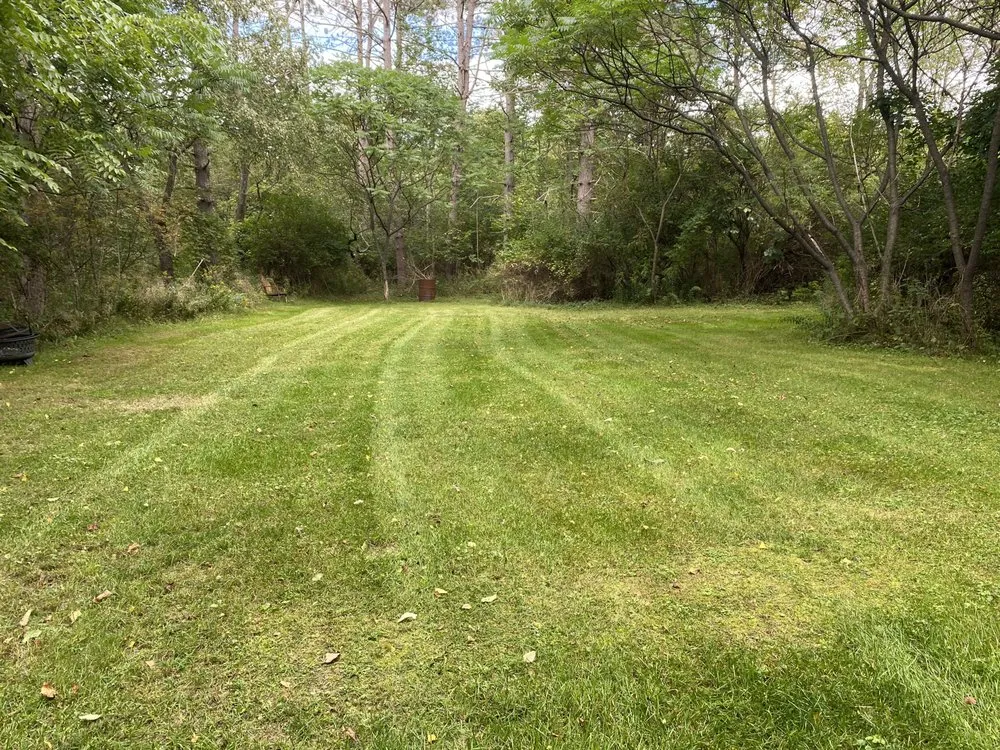 Expert yard maintenance experts serving Angelica, NY - Marsdens Mowing And More