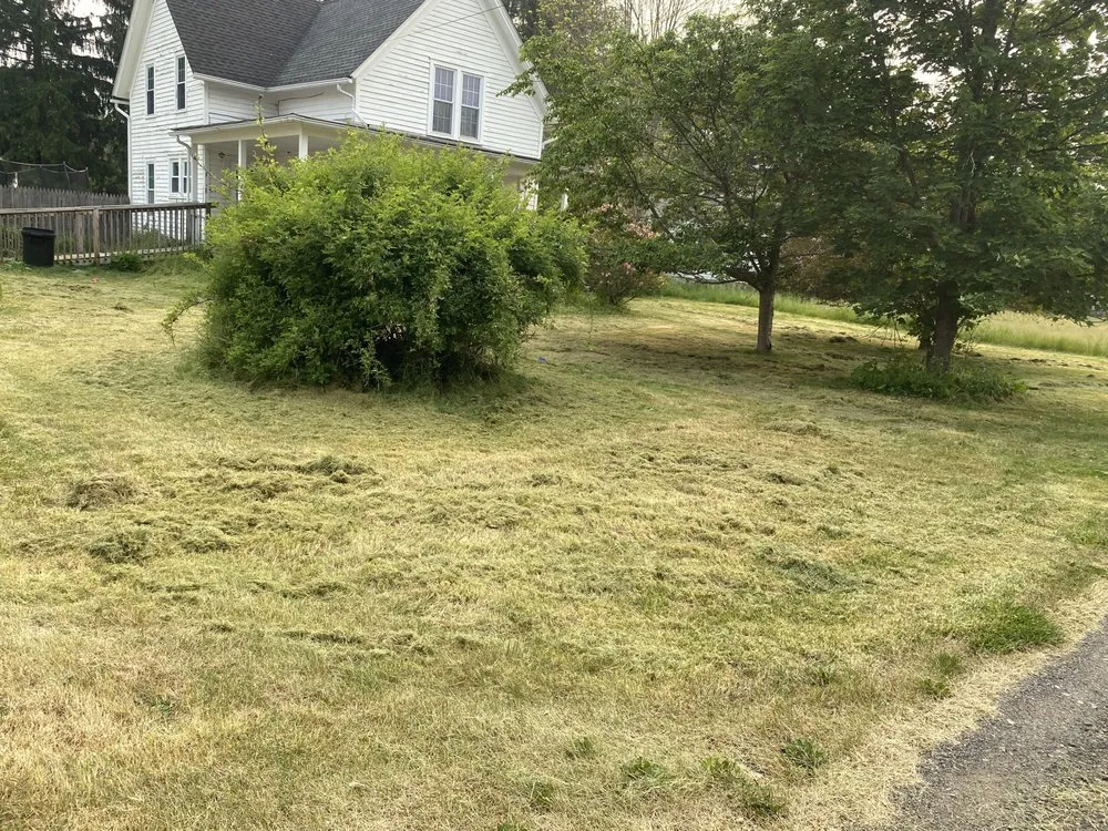 Professional lawn care service in Angelica, NY - Marsdens Mowing And More