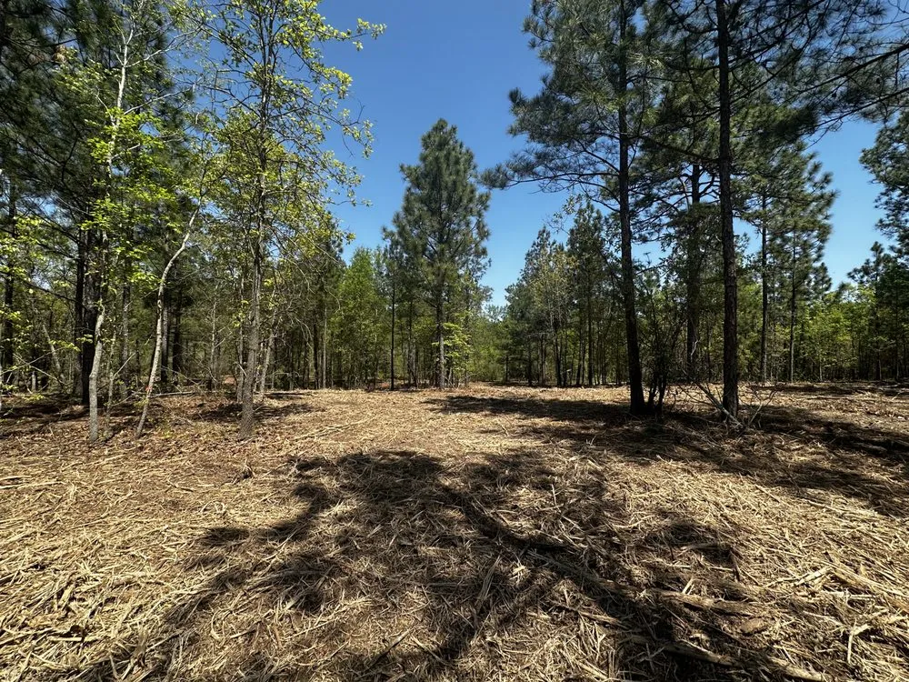 Affordable outdoor landscaping experts serving Cameron, NC - Marsh Ground Works