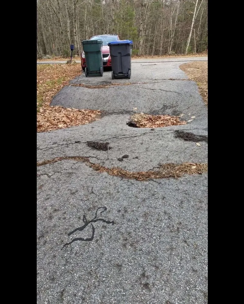 Top-rated yard cleanup service experts serving Sudbury, MA - Marsh Haven