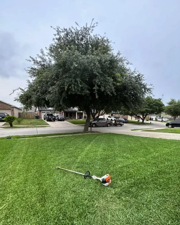 Local landscaping services for residential properties across Houston, TX - Marsh lawn & landscaping
