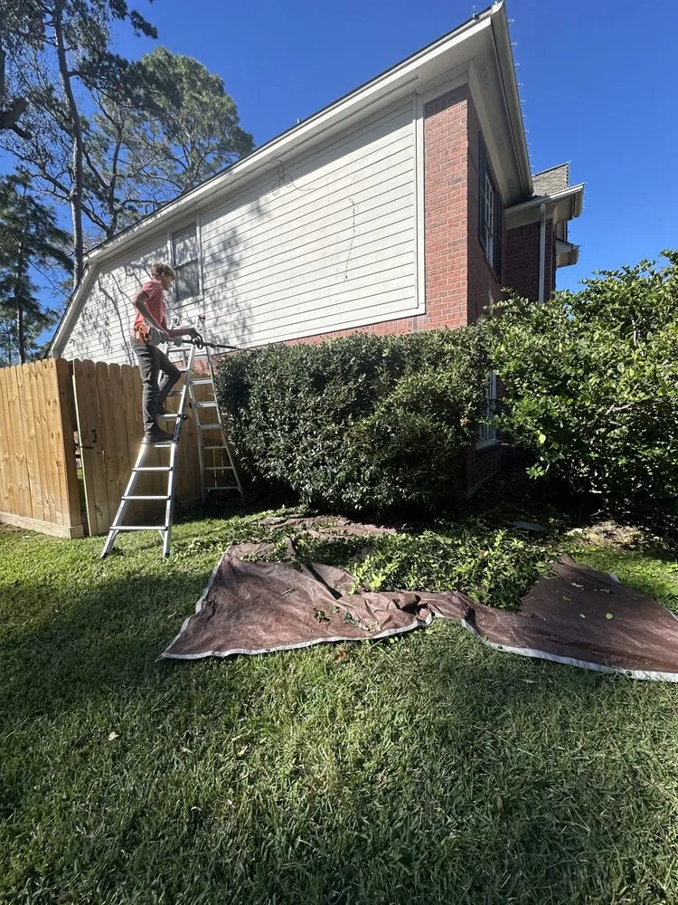 Expert landscaping services experts serving Houston, TX - Marsh lawn & landscaping