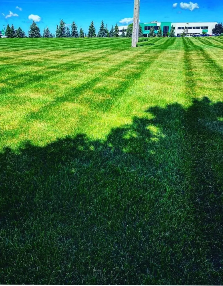 Professional lawn mowing service for outdoor upgrades across Fulton, NY - Marsh Mowing & More