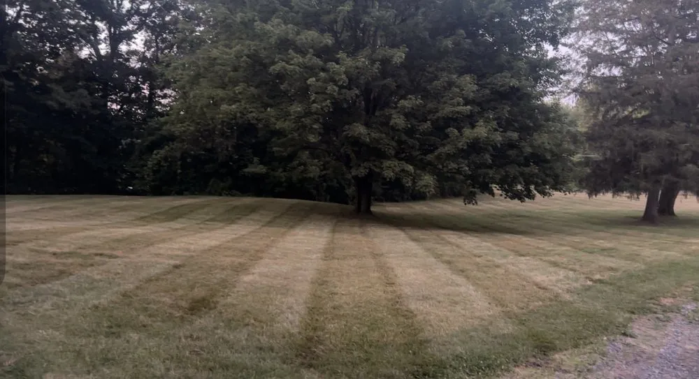 Reliable lawn care service in Fulton, NY by Marsh Mowing & More