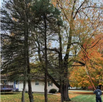 Affordable residential landscaping for homes in Adrian, MI by Marsh Professional Lawncare