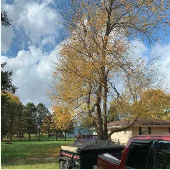 Affordable yard maintenance in Adrian, MI - Marsh Professional Lawncare